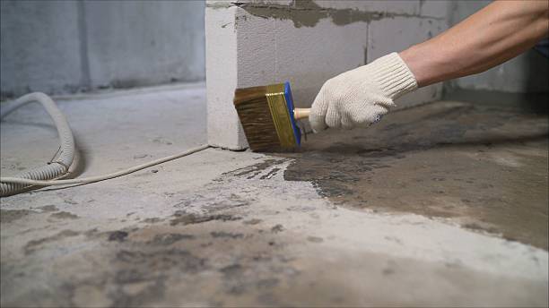 Crawl space vapor barrier installation in Dunlap, IL